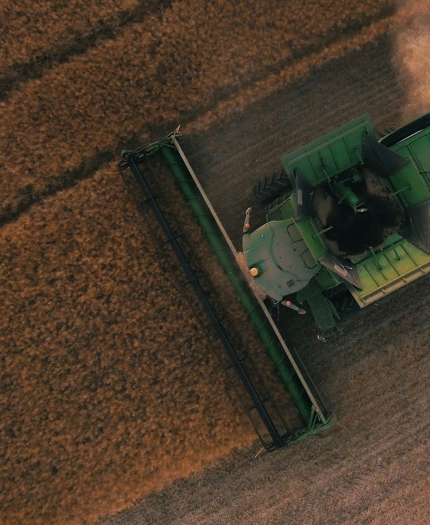 Moissonneuse-batteuse verte vue du dessus récoltant un champ de blé en fin de journée.